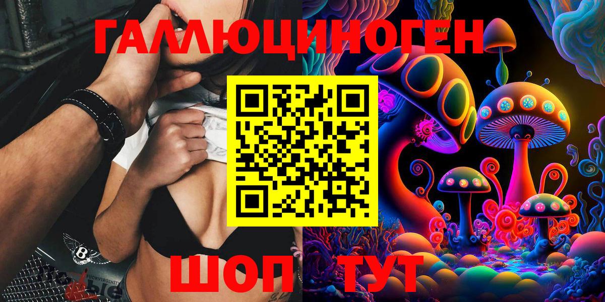 Псилоцибиновые грибы Psilocybine cubensis Гулькевичи