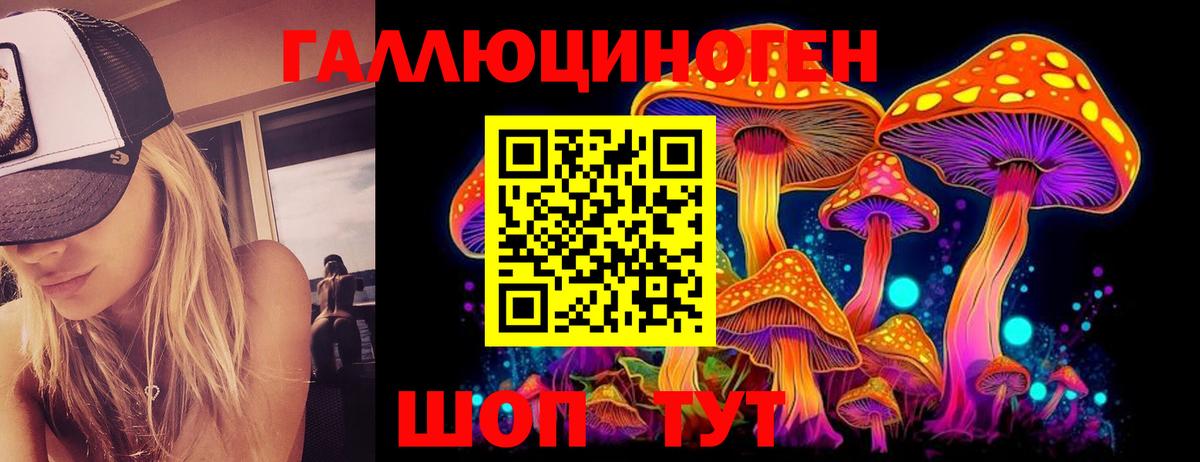 Гулькевичи  Галлюциногенные грибы прущие грибы  Вход с VPN 
